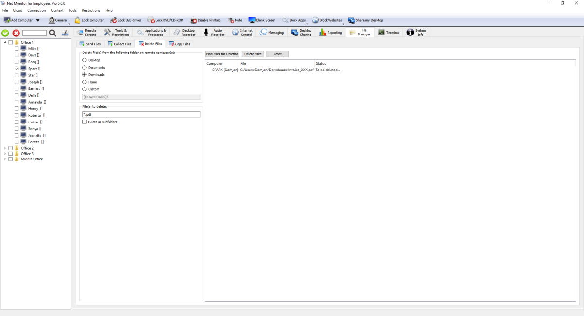 deleting files to an employee computer
