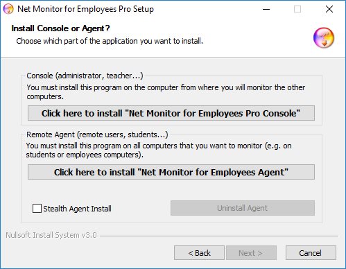 Install employee monitoring software