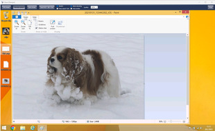 Gián điệp nhân viên